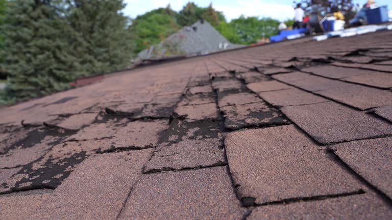 Best Rubber Roofing (EPDM, TPO)  in Margate City, NJ